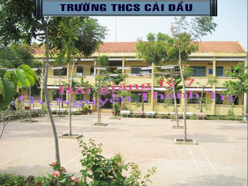 Bài 11. Độ cao của âm