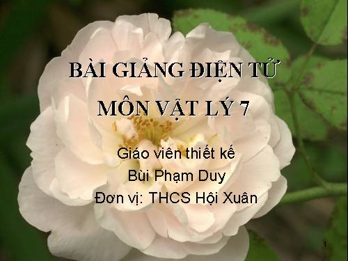 Bài 15. Chống ô nhiễm tiếng ồn