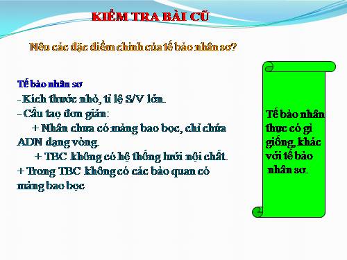 bài 8+9 tế bào nhân thực