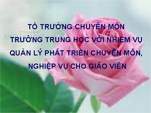 KẾ HOẠCH CỦA TỔ TRƯỞNG