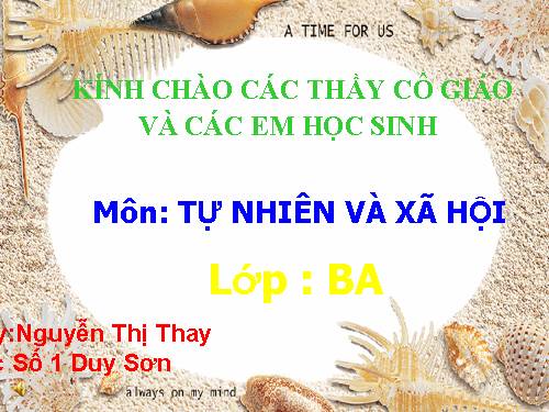 TNXH : Thú