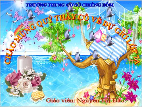 tiết 97 văn 7