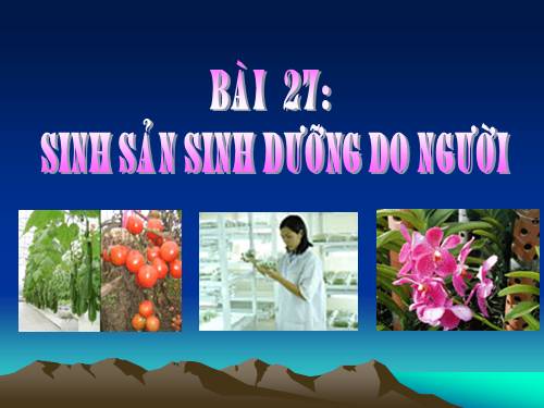 sinh sản sinh dưỡng do người
