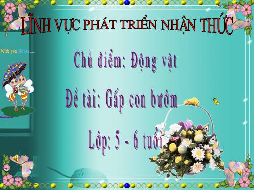 taohinh gapconbuom 5tuoi
