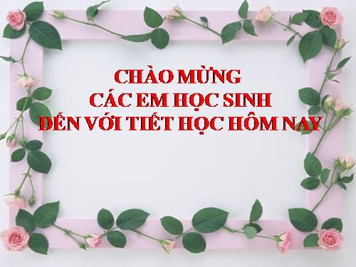 ôn thi học kì 1 VẬT LÍ 6 phần 1