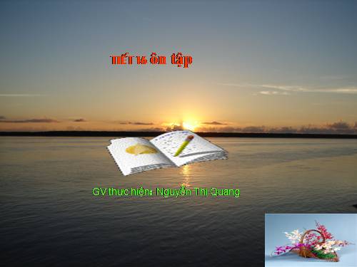 tiết 16 ôn tật học hỳ 1 lý 7