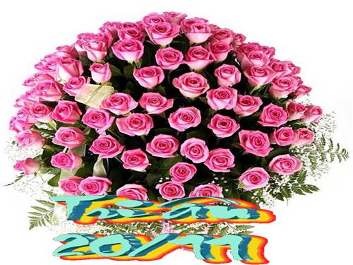 Thiệp mừng 20-11