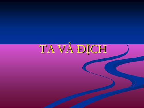 Ta và địch