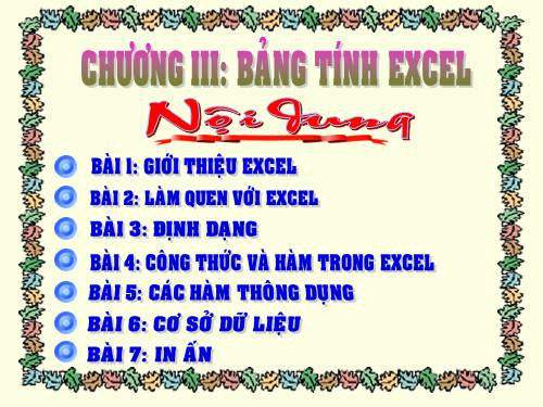 Bài giảng Excel