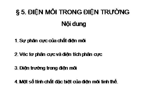 Sự phân cực điện môi