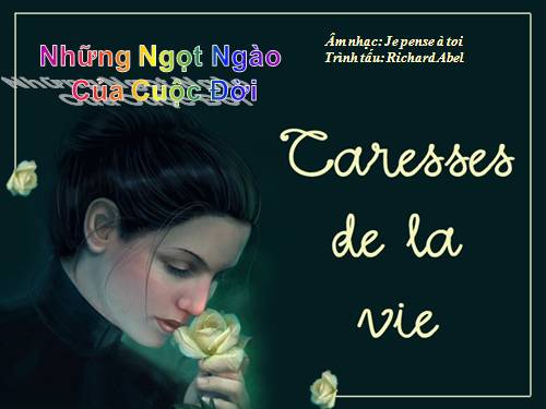 NHUNG NGOT NGAO CUA CUOC SONG