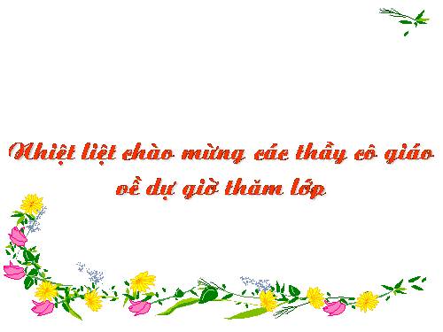 Sự tạo ảnh trong máy ảnh