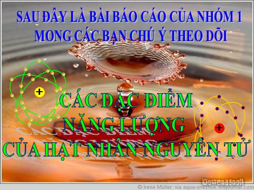 Vật lí hạt nhân