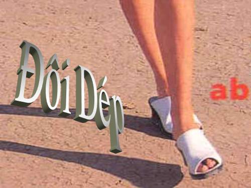 ĐÔI DÉP