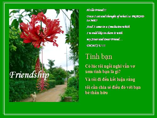 TÌNH BẠN