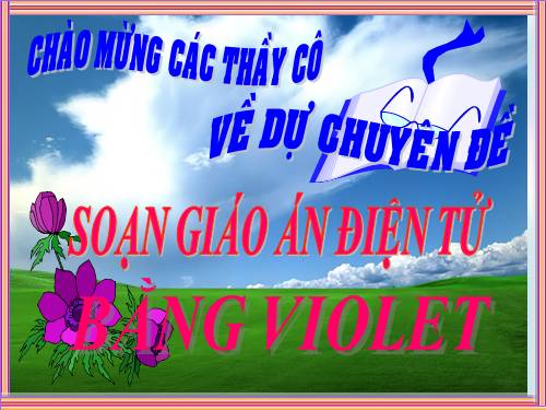 chuyen de violet