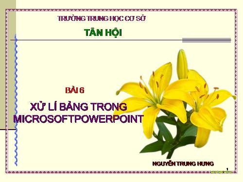 Xử lí bảng biểu trong Power point 2003