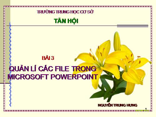 Quản lí các file trong Power point 2003
