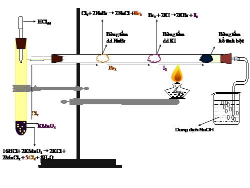 thí nghiệm ảo bài Flo-brom-iot