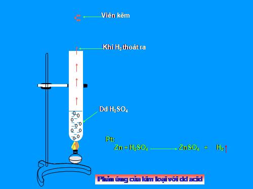 thí nghiệm ảo đẹp