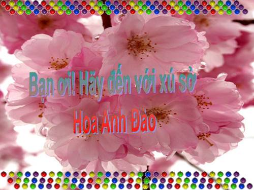 40 hinh nen ve xu so hoa Anh Dao