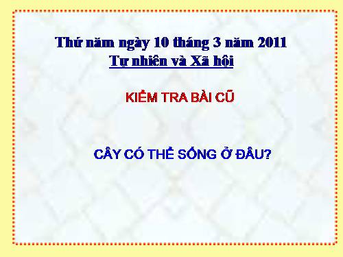 TN&XH lớp 2
