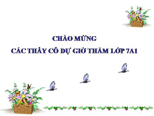 Hình học 7-T.45: Ôn tập Chương II