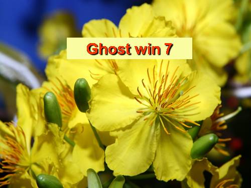 Ghost win 7