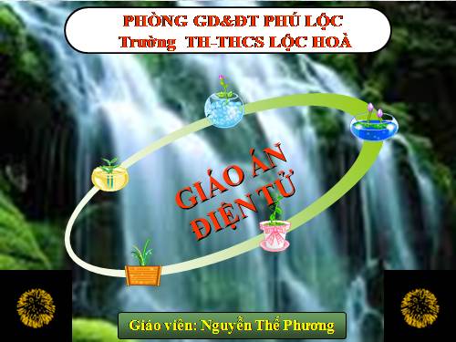 He Sinh Thai - sinh 9