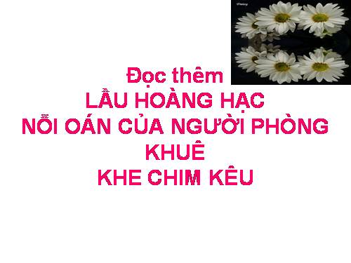 hoang lac lau HOT