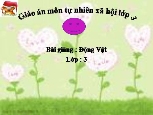 bài 49 tnxhlop3:động vật