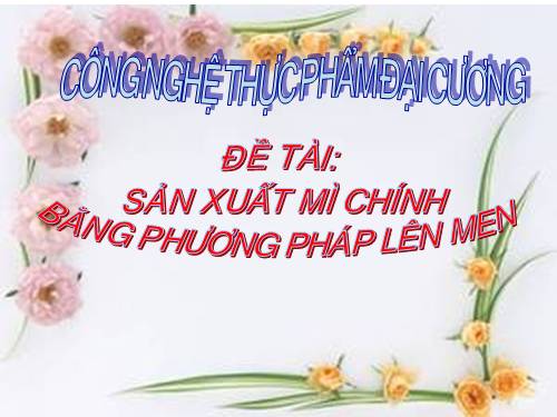 mi chinh