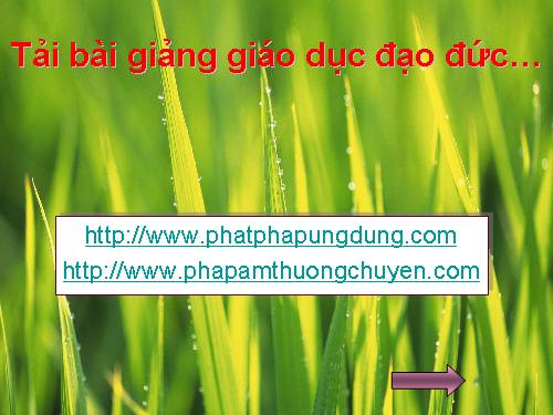 Tải bài giảng giáo dục đạo đức
