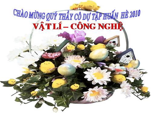 Nhiemvu Vatli2010