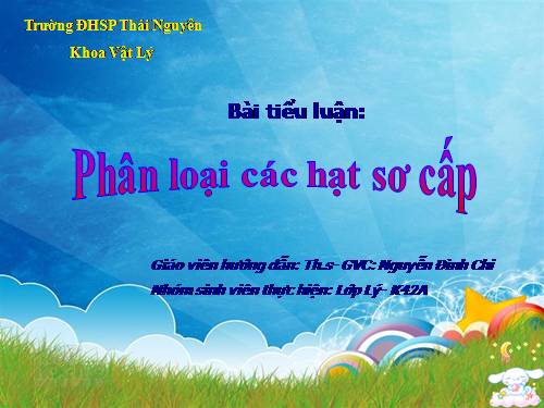 phân loại các hạt sơ cấp.