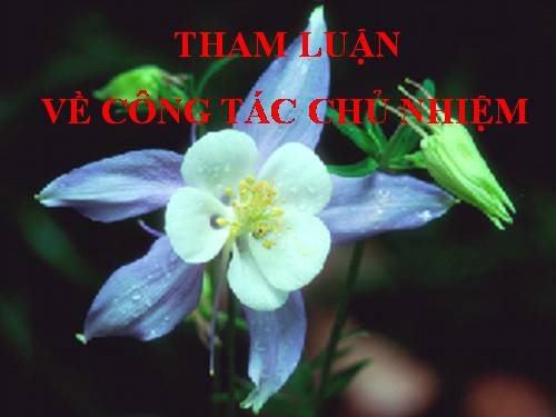 THAM LUẬN CÔNG TÁC CHỦ NHIỆM LỚP (CÔ OANH)
