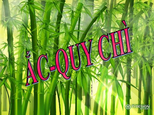 Acquychi.ppt