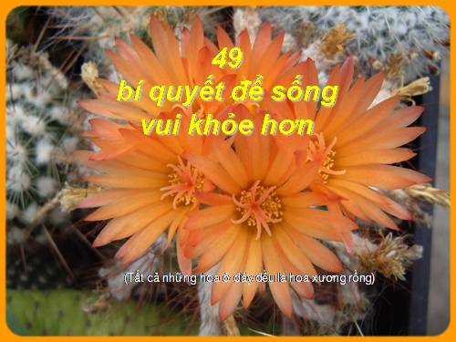 HOA VA SUC KHOE