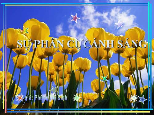 Sự phân cực ánh sáng