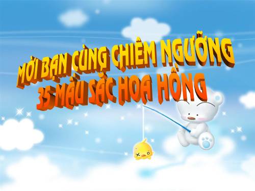 35 mầu sắc hoa hồng đẹp