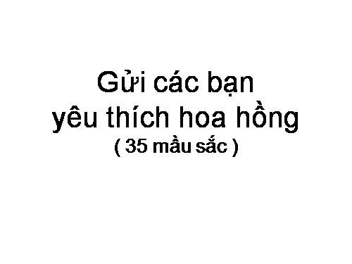Gửi các bạn yêu thích hoa hồng (35 mầu sắc)