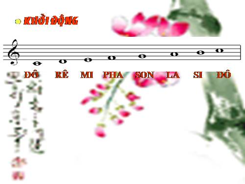 Bai hát Những bông hoa những bài ca