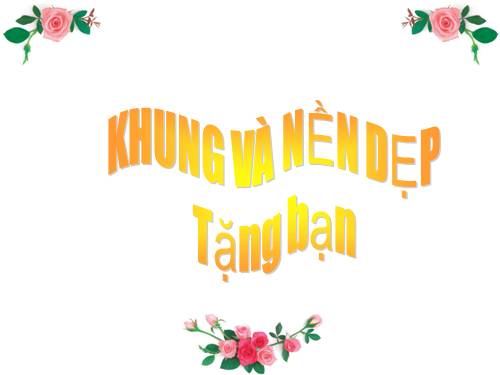 Khung và nền PP