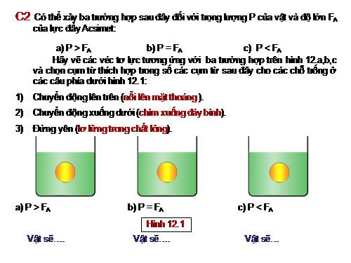Bài 12: Sự nổi