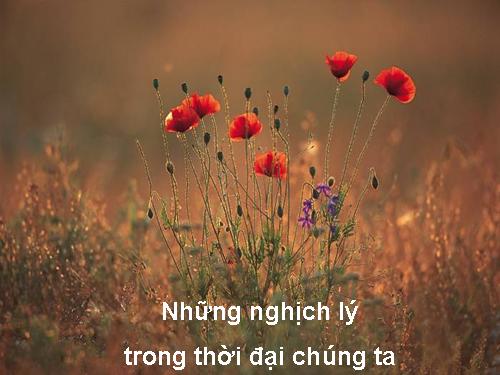 Nghịch lý cuôc đời