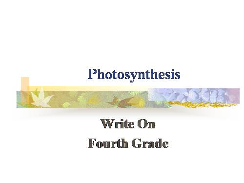 photosynthesis