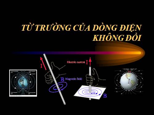 tu truong