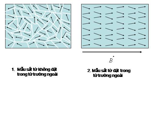 CHU TRÌNH TỪ TRỄ ( DÙNG ĐƯƠC)