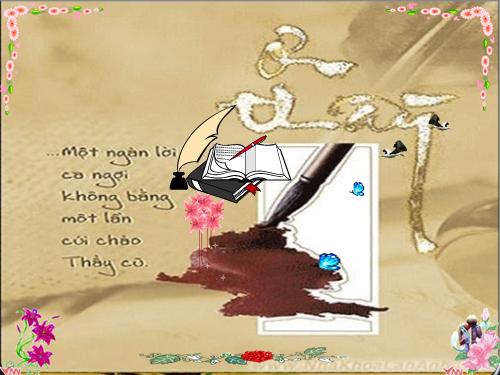 Bài dự thi tỉnh