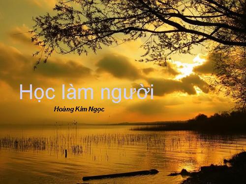 TRƯỜNG THCS VINH QUANG CHIÊM HOÁ